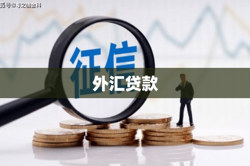乐亭外汇贷款