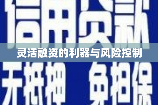 乐亭灵活融资的利器与风险控制