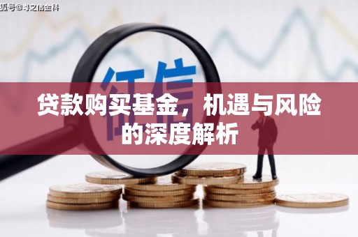 乐亭贷款购买基金，机遇与风险的深度解析