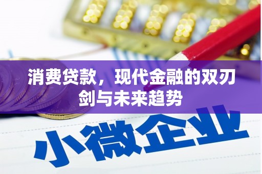 乐亭消费贷款，现代金融的双刃剑与未来趋势