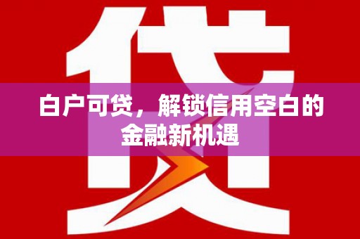 乐亭白户可贷，解锁信用空白的金融新机遇