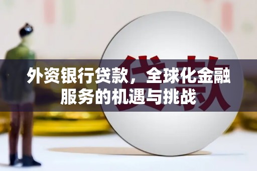 乐亭外资银行贷款，全球化金融服务的机遇与挑战