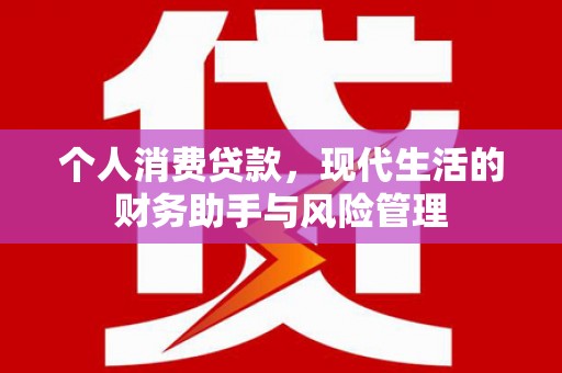 乐亭个人消费贷款，现代生活的财务助手与风险管理