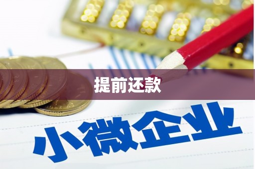 乐亭提前还款