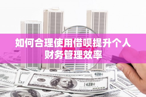 乐亭如何合理使用借呗提升个人财务管理效率