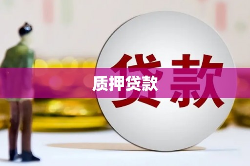 乐亭质押贷款