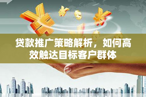乐亭贷款推广策略解析，如何高效触达目标客户群体