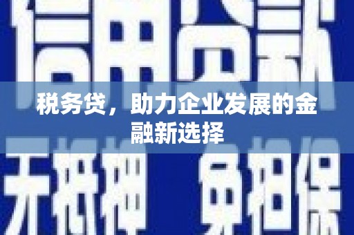 乐亭税务贷，助力企业发展的金融新选择