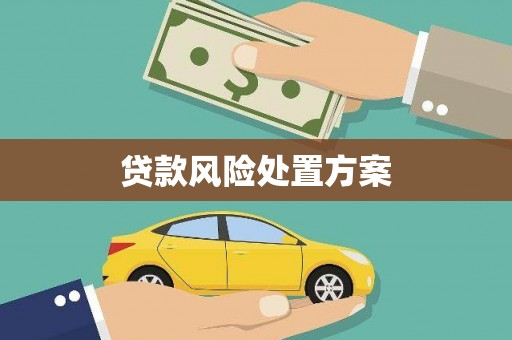 乐亭贷款风险处置方案