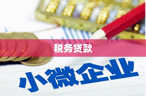 乐亭税务贷款
