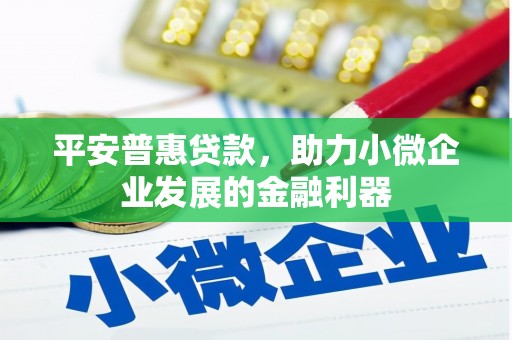 乐亭平安普惠贷款，助力小微企业发展的金融利器