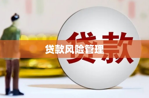 乐亭贷款风险管理