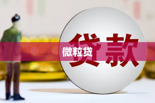 乐亭微粒贷