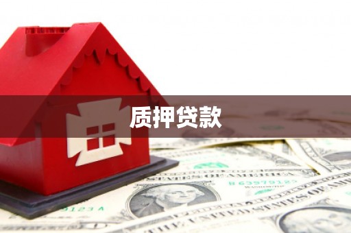 乐亭质押贷款