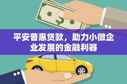 乐亭平安普惠贷款，助力小微企业发展的金融利器