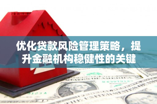 乐亭优化贷款风险管理策略，提升金融机构稳健性的关键