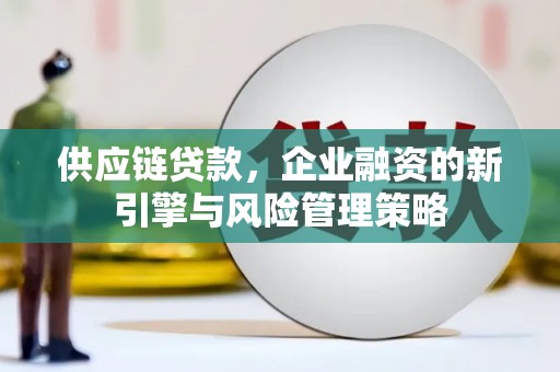 乐亭供应链贷款，企业融资的新引擎与风险管理策略