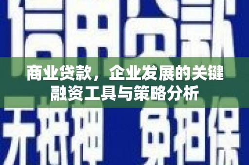 乐亭商业贷款，企业发展的关键融资工具与策略分析