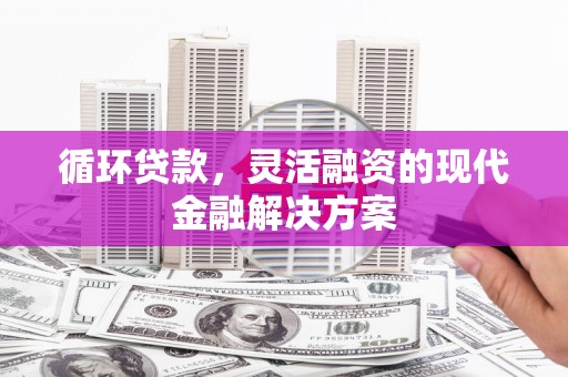 乐亭循环贷款，灵活融资的现代金融解决方案