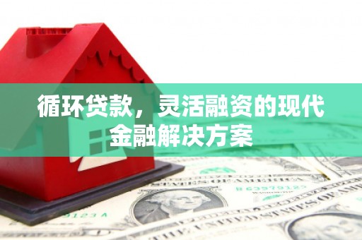 乐亭循环贷款，灵活融资的现代金融解决方案