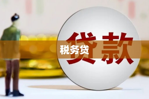 乐亭税务贷