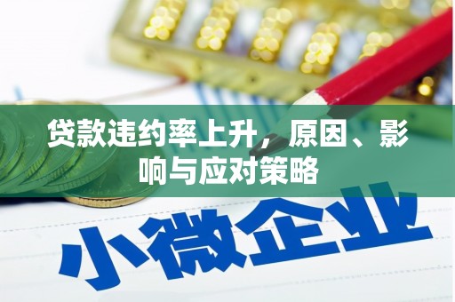 乐亭贷款违约率上升，原因、影响与应对策略