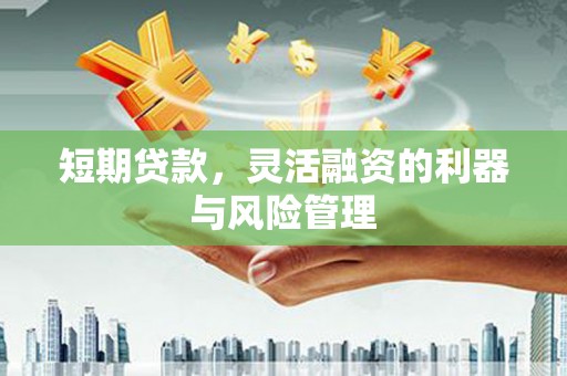 乐亭短期贷款，灵活融资的利器与风险管理