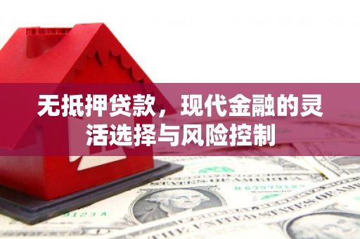 乐亭无抵押贷款，现代金融的灵活选择与风险控制