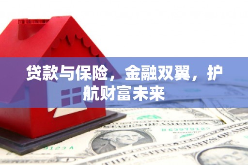 乐亭贷款与保险，金融双翼，护航财富未来