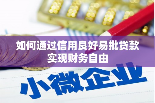 乐亭如何通过信用良好易批贷款实现财务自由