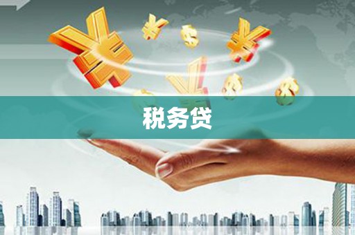 乐亭税务贷