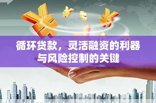 乐亭循环贷款，灵活融资的利器与风险控制的关键