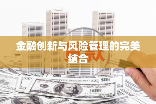 乐亭金融创新与风险管理的完美结合