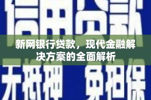 乐亭新网银行贷款，现代金融解决方案的全面解析