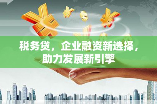 乐亭税务贷，企业融资新选择，助力发展新引擎