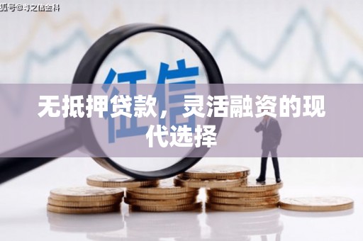 乐亭无抵押贷款，灵活融资的现代选择