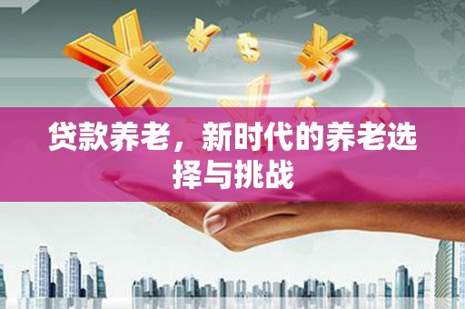 乐亭贷款养老，新时代的养老选择与挑战