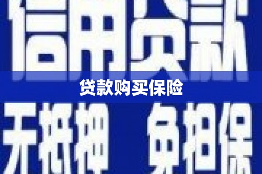 乐亭贷款购买保险
