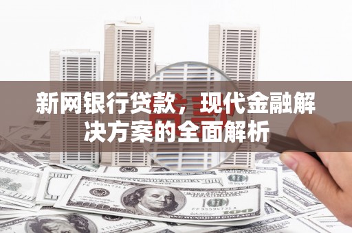 乐亭新网银行贷款，现代金融解决方案的全面解析