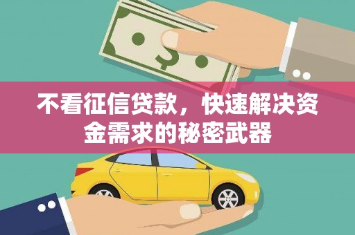 乐亭不看征信贷款，快速解决资金需求的秘密武器