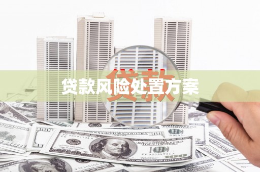 乐亭贷款风险处置方案