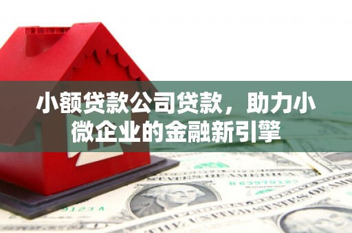 乐亭小额贷款公司贷款，助力小微企业的金融新引擎