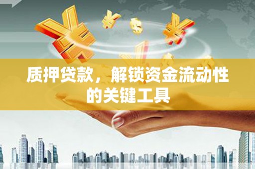 乐亭质押贷款，解锁资金流动性的关键工具
