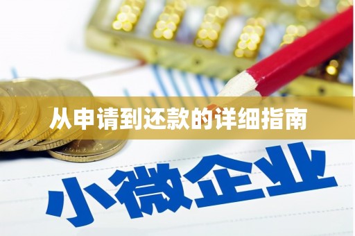 乐亭从申请到还款的详细指南