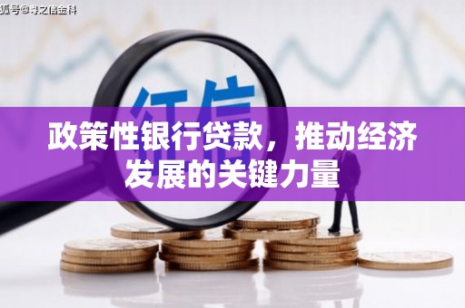 乐亭政策性银行贷款，推动经济发展的关键力量