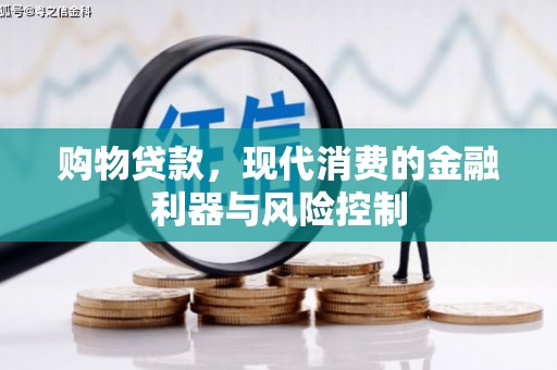乐亭购物贷款，现代消费的金融利器与风险控制
