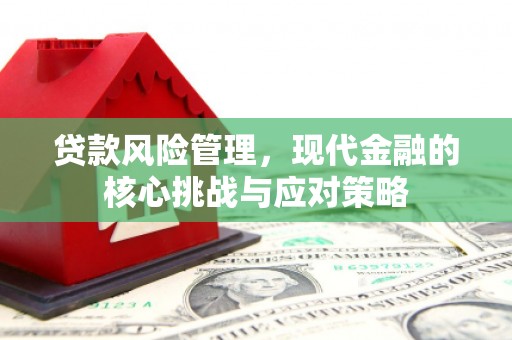 乐亭贷款风险管理，现代金融的核心挑战与应对策略