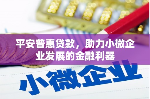乐亭平安普惠贷款，助力小微企业发展的金融利器