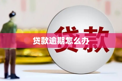 乐亭贷款逾期怎么办