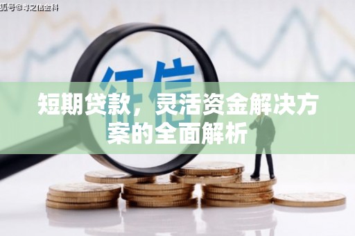 乐亭短期贷款，灵活资金解决方案的全面解析